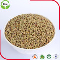 Cheap Green Lentils with Good Quality